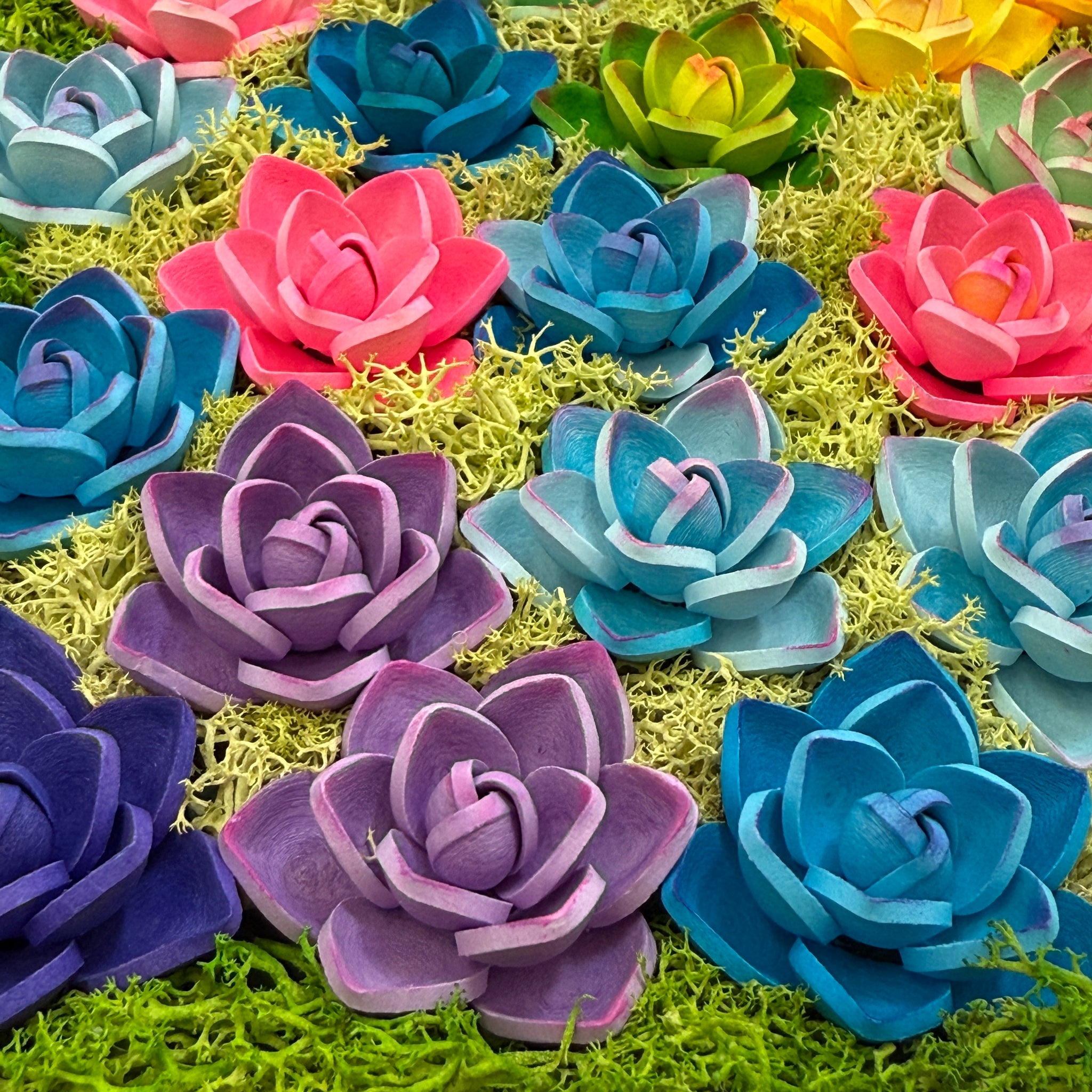 paper quilling succulents Succulent plant Lover art decor