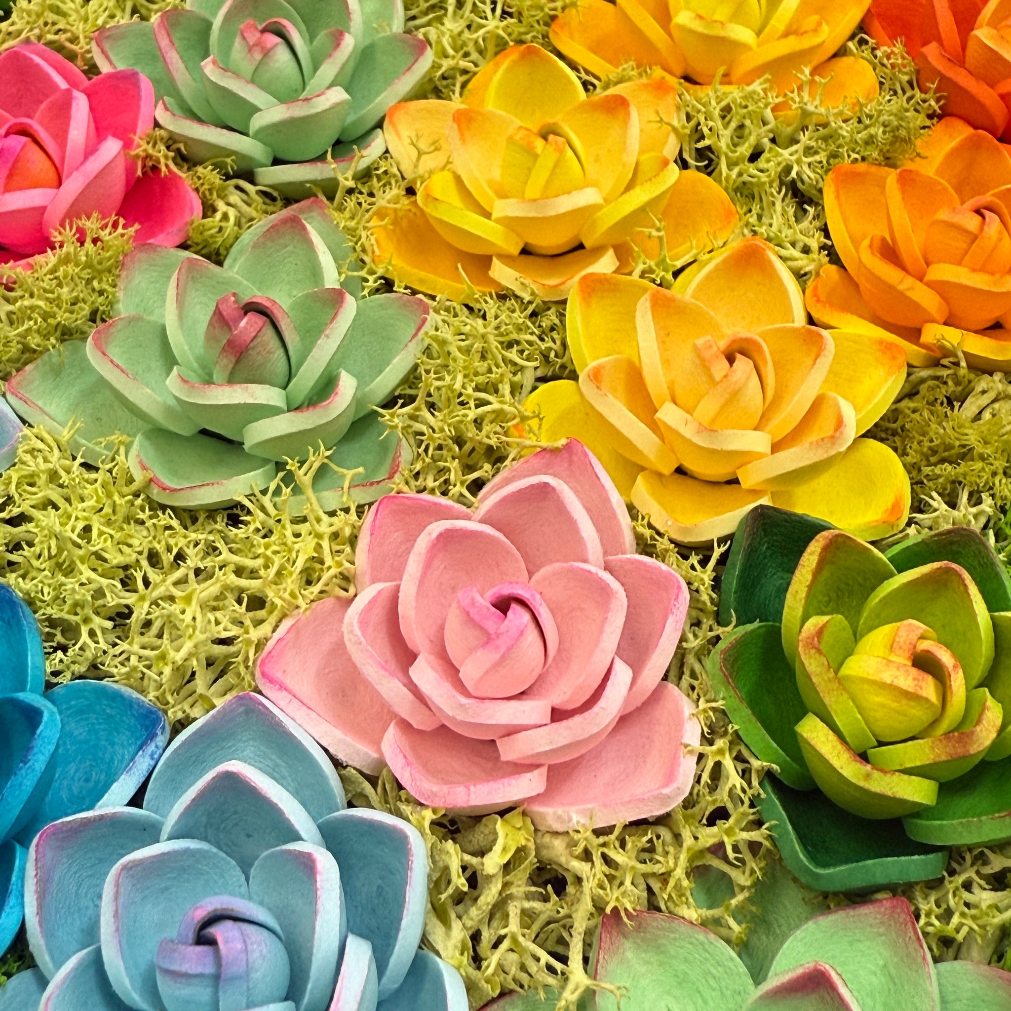 succulent contact paper Succulent plant Lover art decor