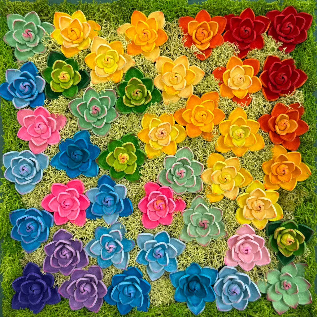 Quilling Succulent Art Decor